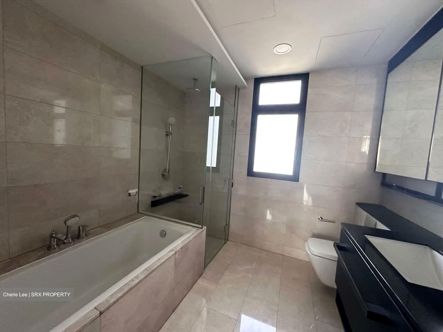 Park Colonial (D13), Condominium #566393891